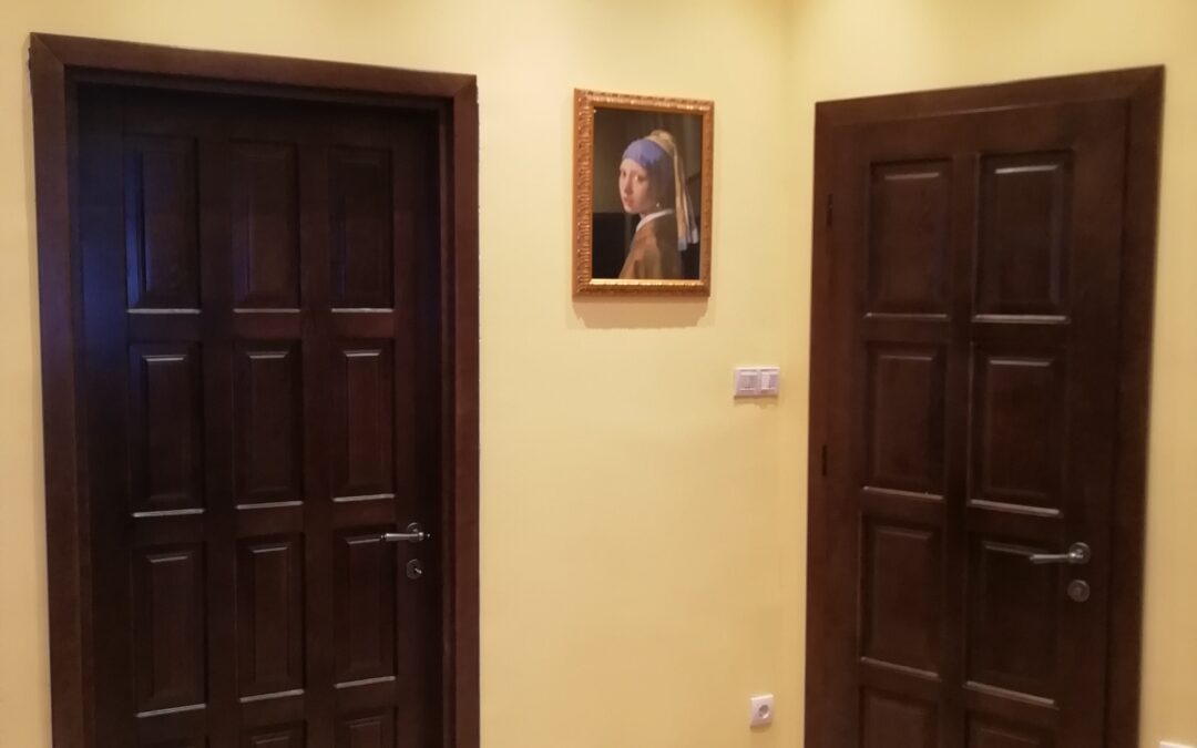 Apartment in Zemun